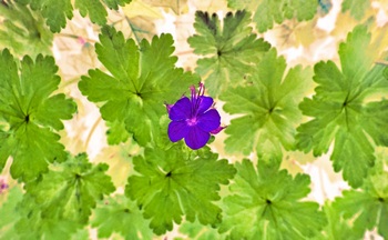 F 051B
